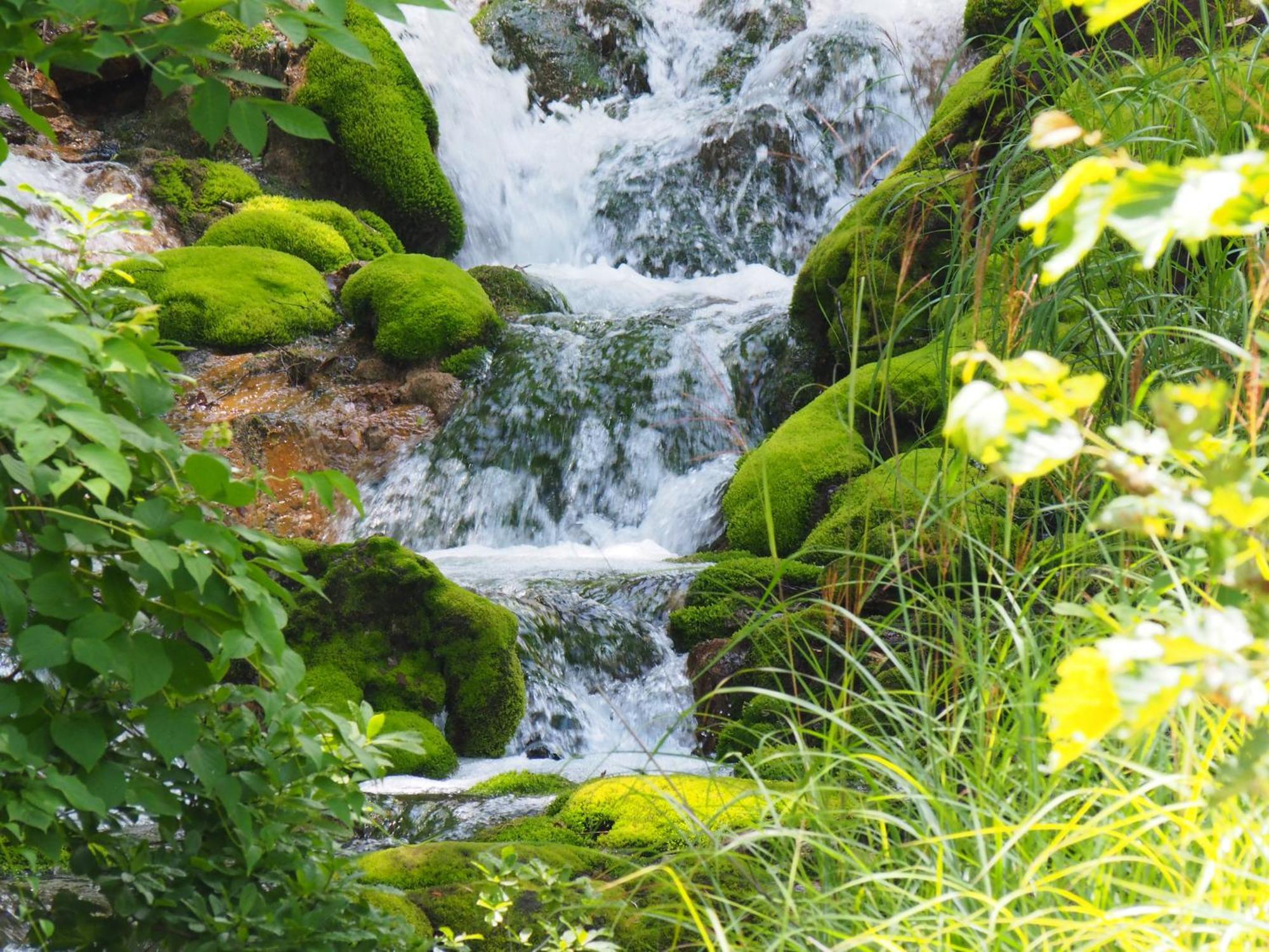 Buna Kusatsu Onsen Inn Luaran gambar
